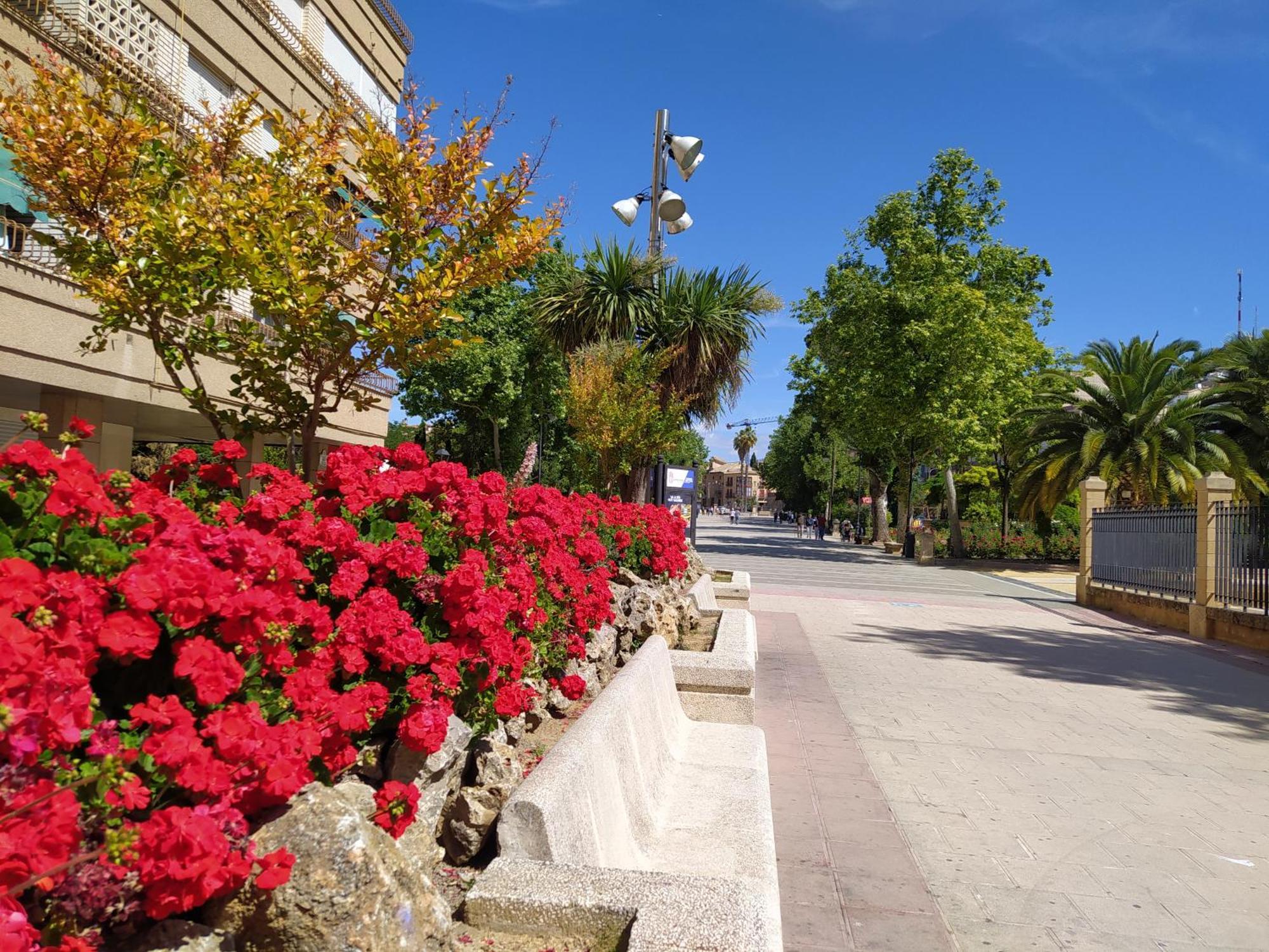Alamos * Alcalá la Real